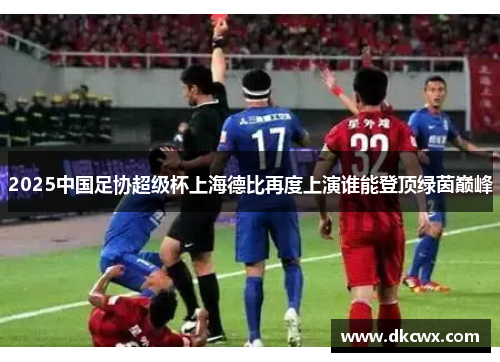 2025中国足协超级杯上海德比再度上演谁能登顶绿茵巅峰