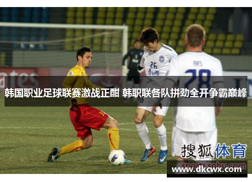 韩国职业足球联赛激战正酣 韩职联各队拼劲全开争霸巅峰